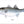 Load image into Gallery viewer, fishing art print of Striped Bass
